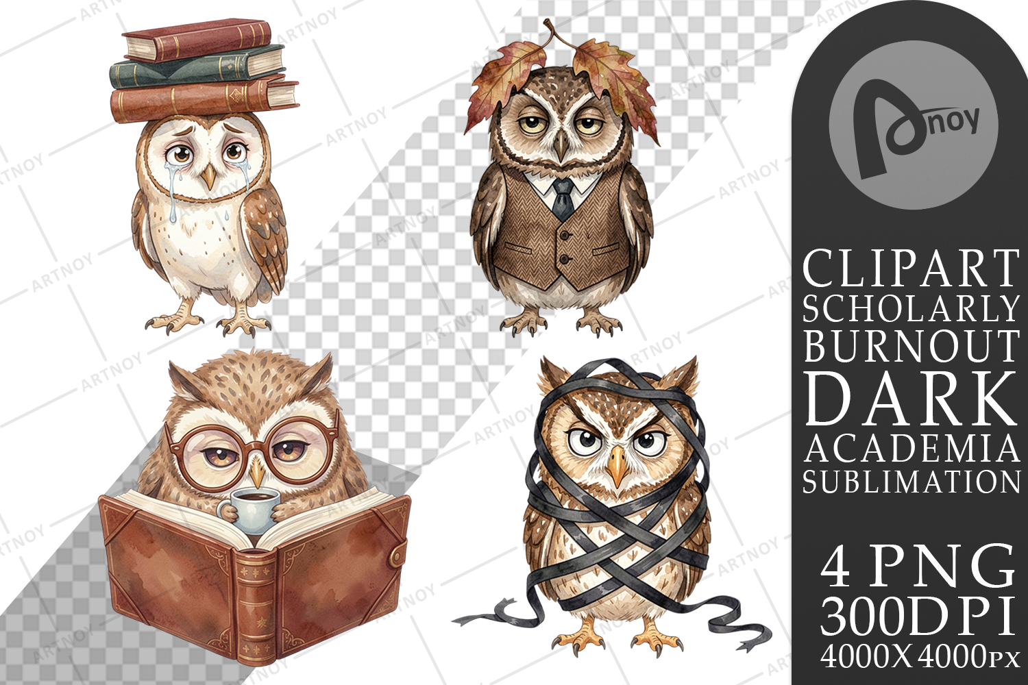 Exhausted Owl Dark Academia Sublimation product image 1