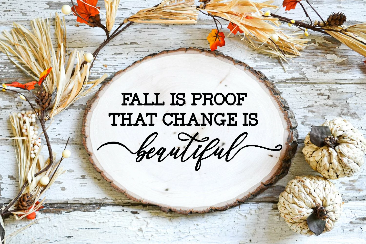 Fall is Proof That I Fall Sign SVG I Thanksgiving Decor SVG product image 1