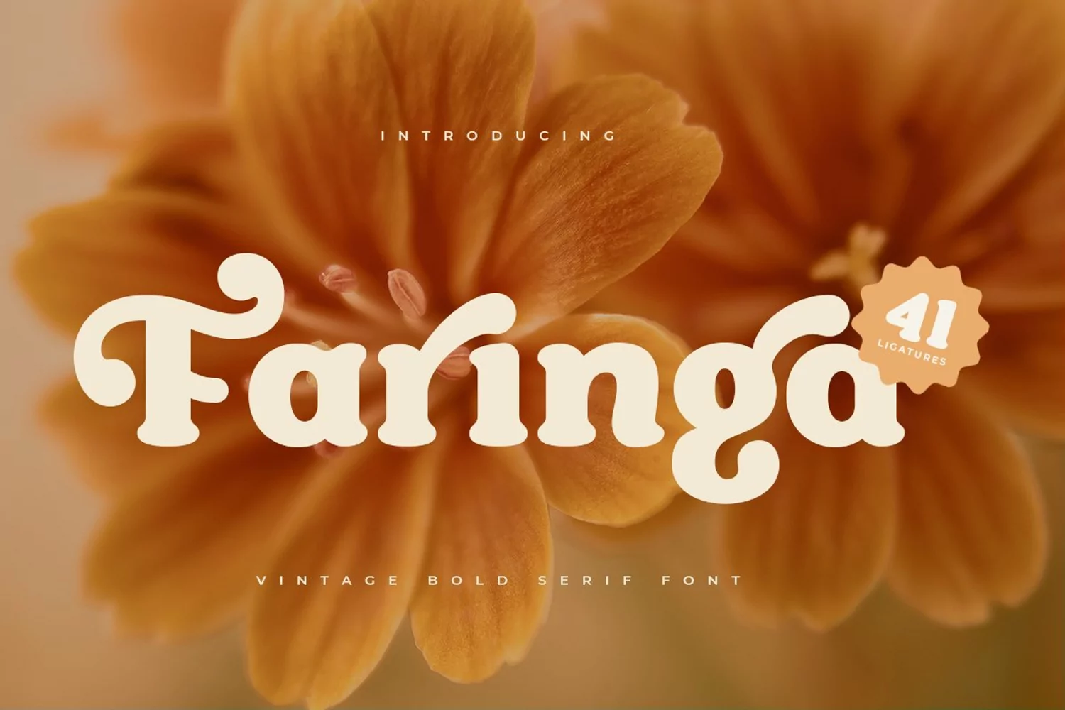 Faringa - Vintage Bold Serif Font product image 1