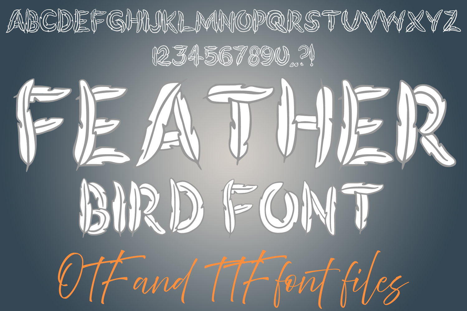 Feather Bird Alphabet Lettering ABC Text Font Wings Typeface OTF Illustration by Squeeb Creative