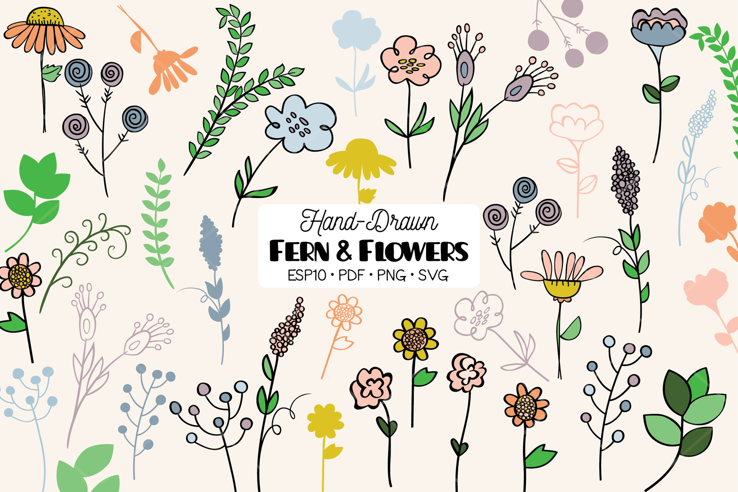 Meadow Ferns & Wild Flowers | Color Hand Drawn Leaves, Plant product image 1