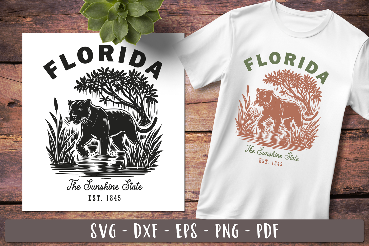 Florida svg Vintage United states design