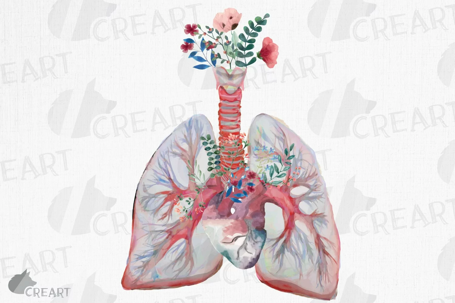 Blush and green floral anatomical lungs with heart graphic product image 1
