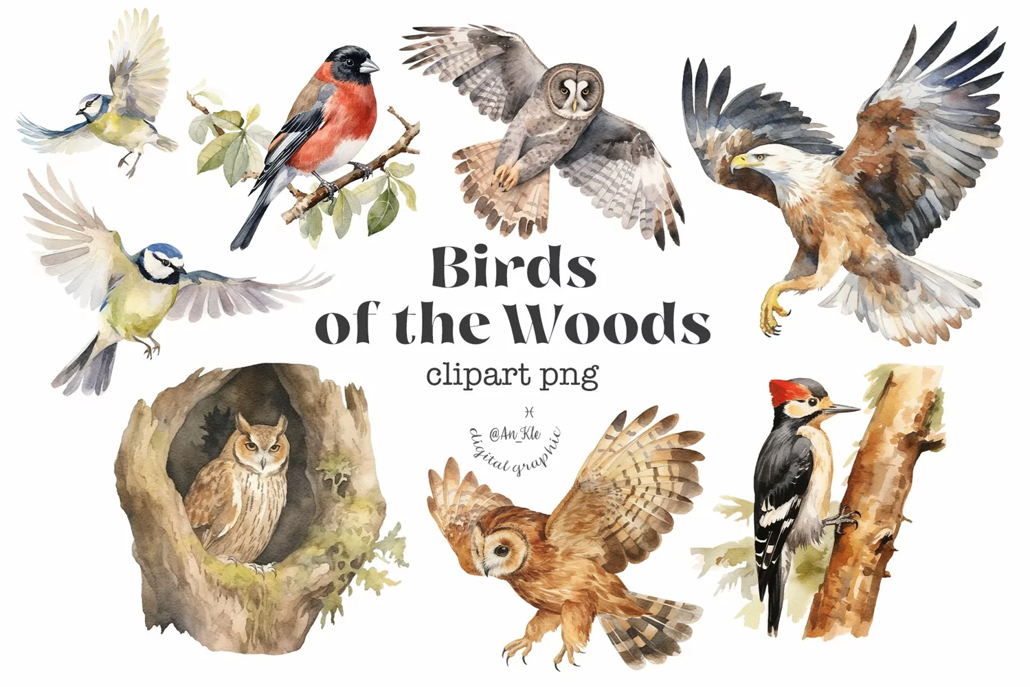 Birds of the Woods product image 1
