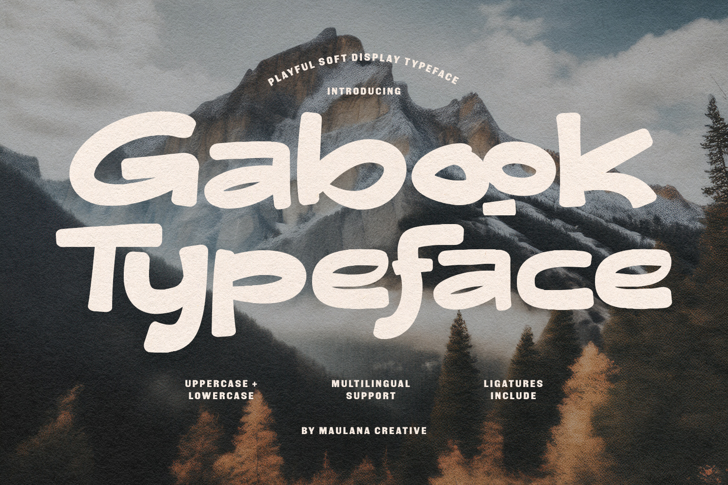 Gabook Playful Soft Display Typeface product image 1
