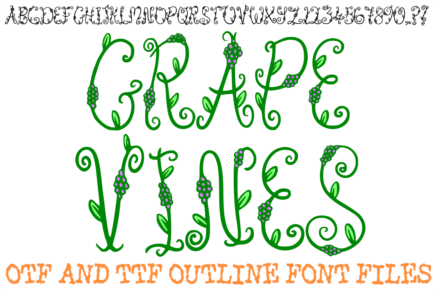 Grape Vine Font Whimsy Swirly Food  Lettering Type ABC OTF by Squeeb Creative