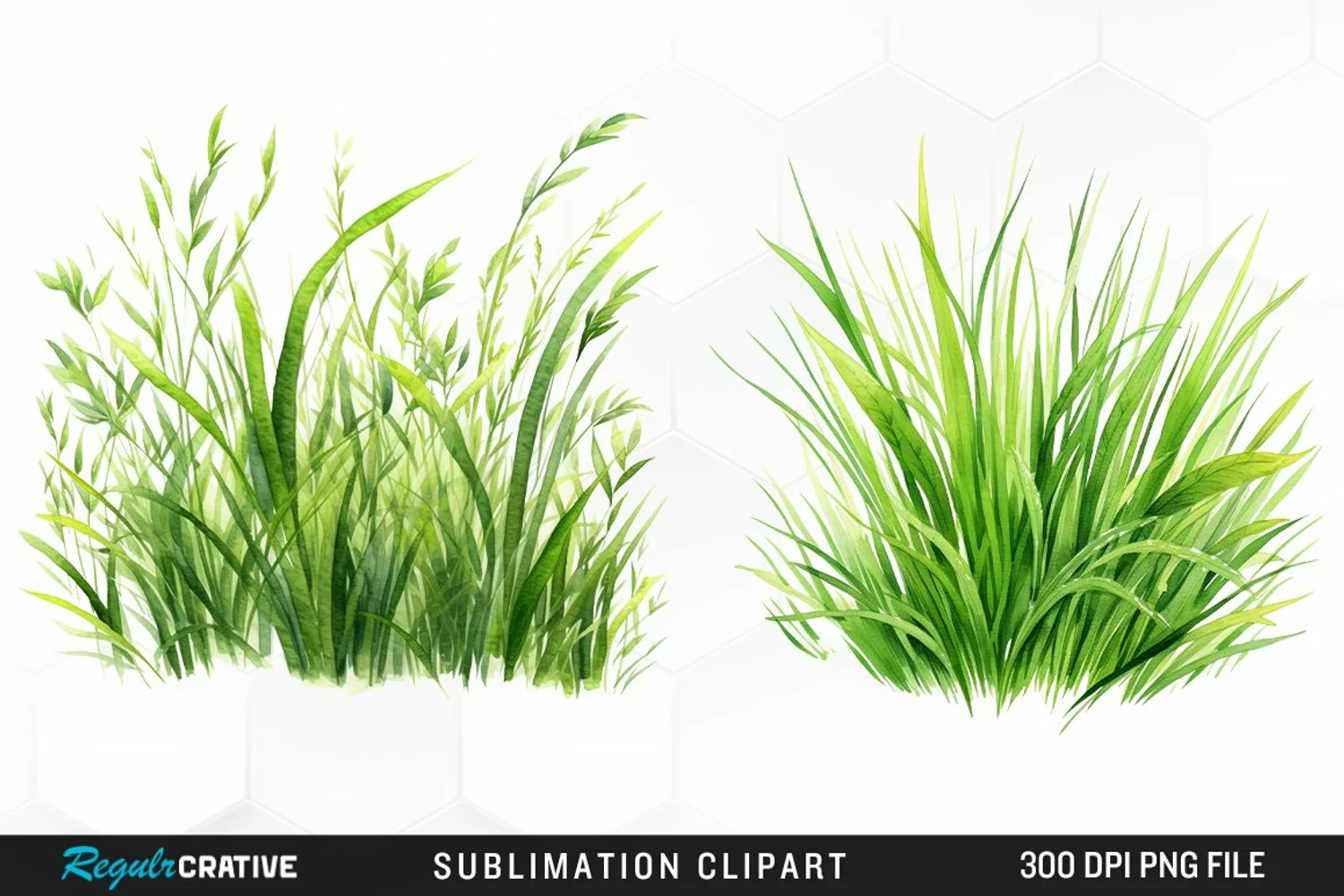 Watercolor Grass Graphics Clipart product image 1