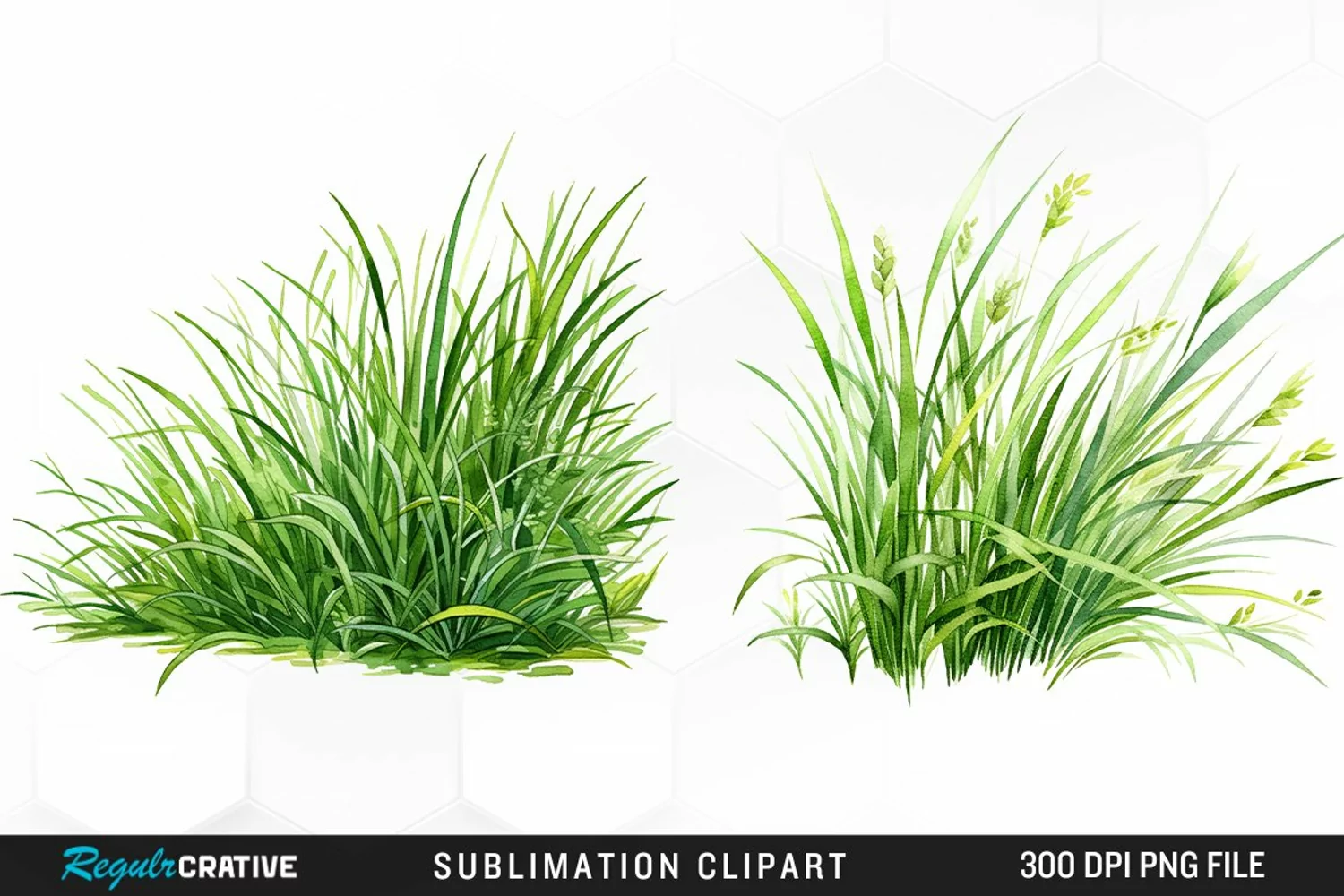 Watercolor Grass Graphics Clipart product image 1