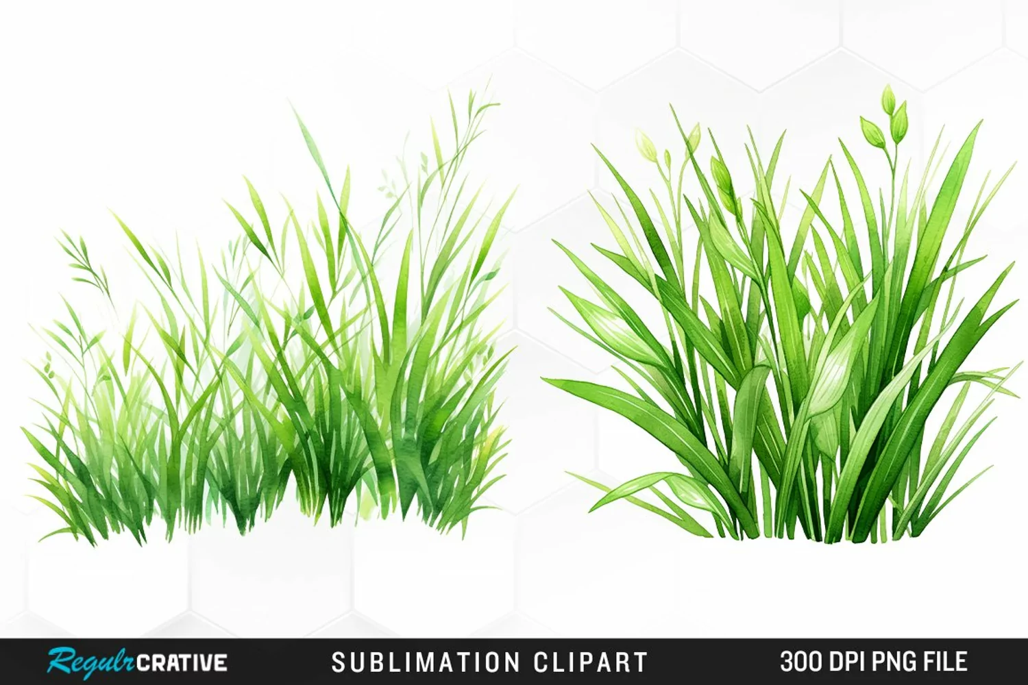 Watercolor Grass Graphics Clipart product image 1
