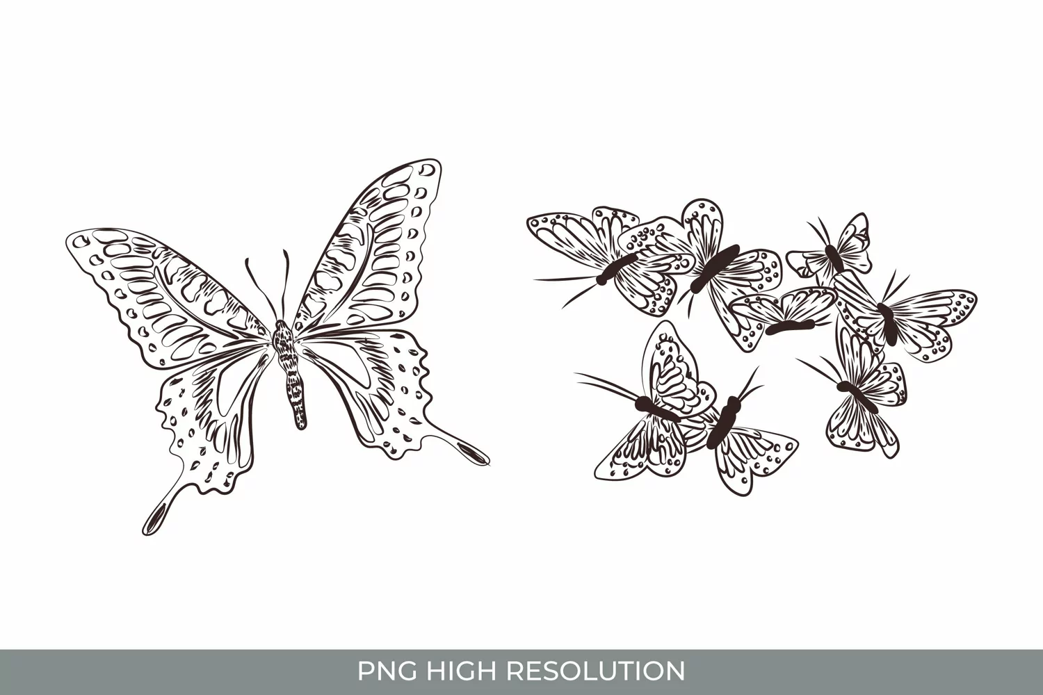 Hand Drawn Vintage Butterfly Clipart Set product image 1