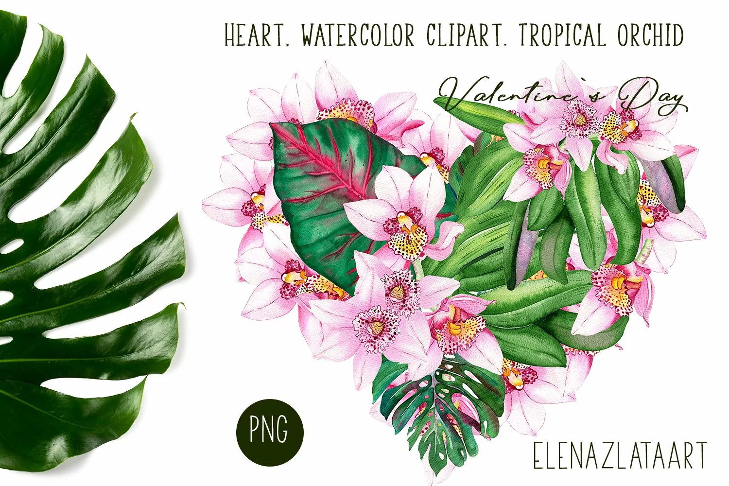 Heart, watercolor clipart. Tropical orchid. Valentine's Day product image 1