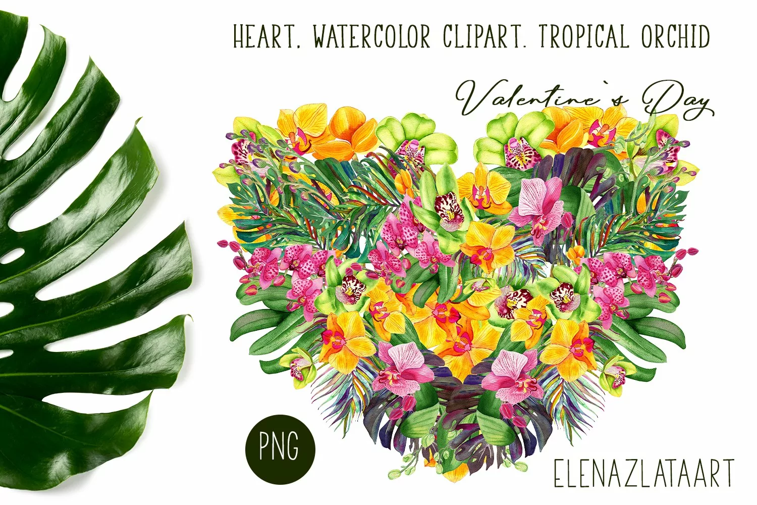 Heart, watercolor clipart. Tropical orchid. Valentine's Day product image 1