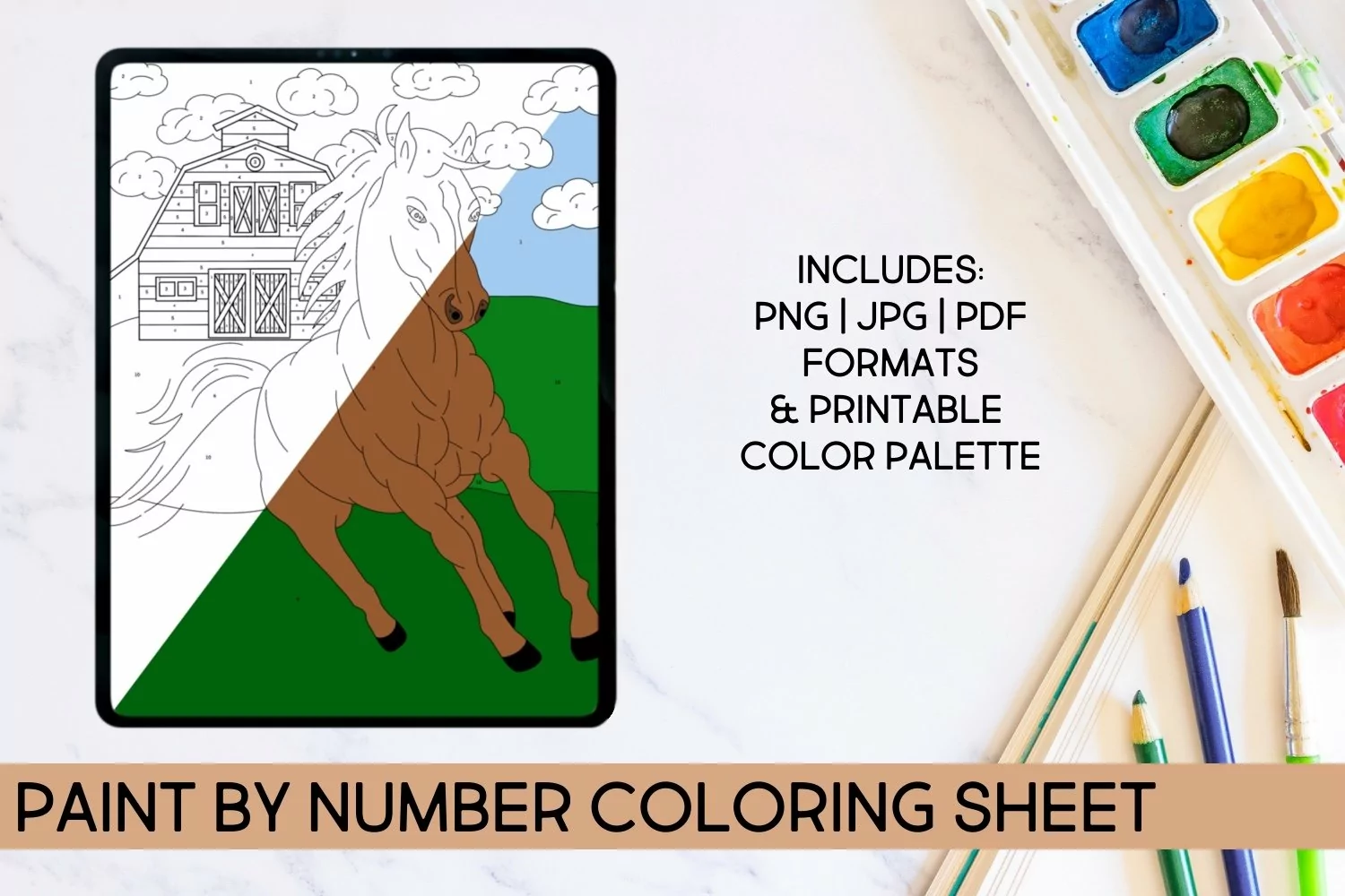 Paint by Number Horse Coloring Sheet product image 1
