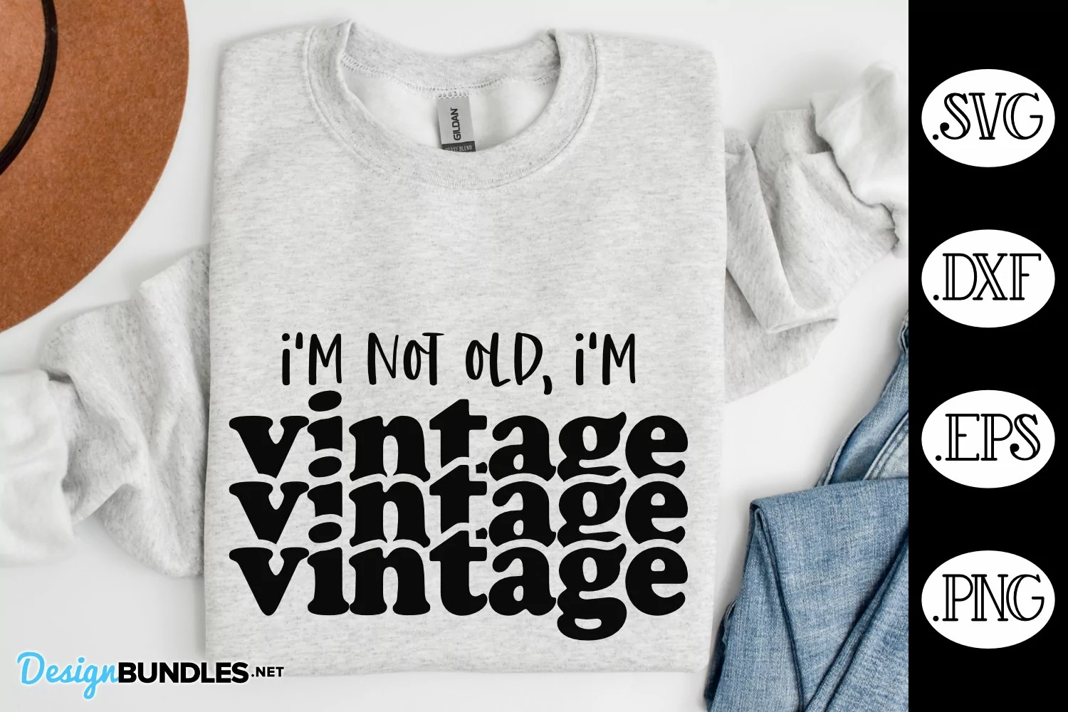 I'm Not Old I'm Vintage SVG | Sarcastic SVG product image 1