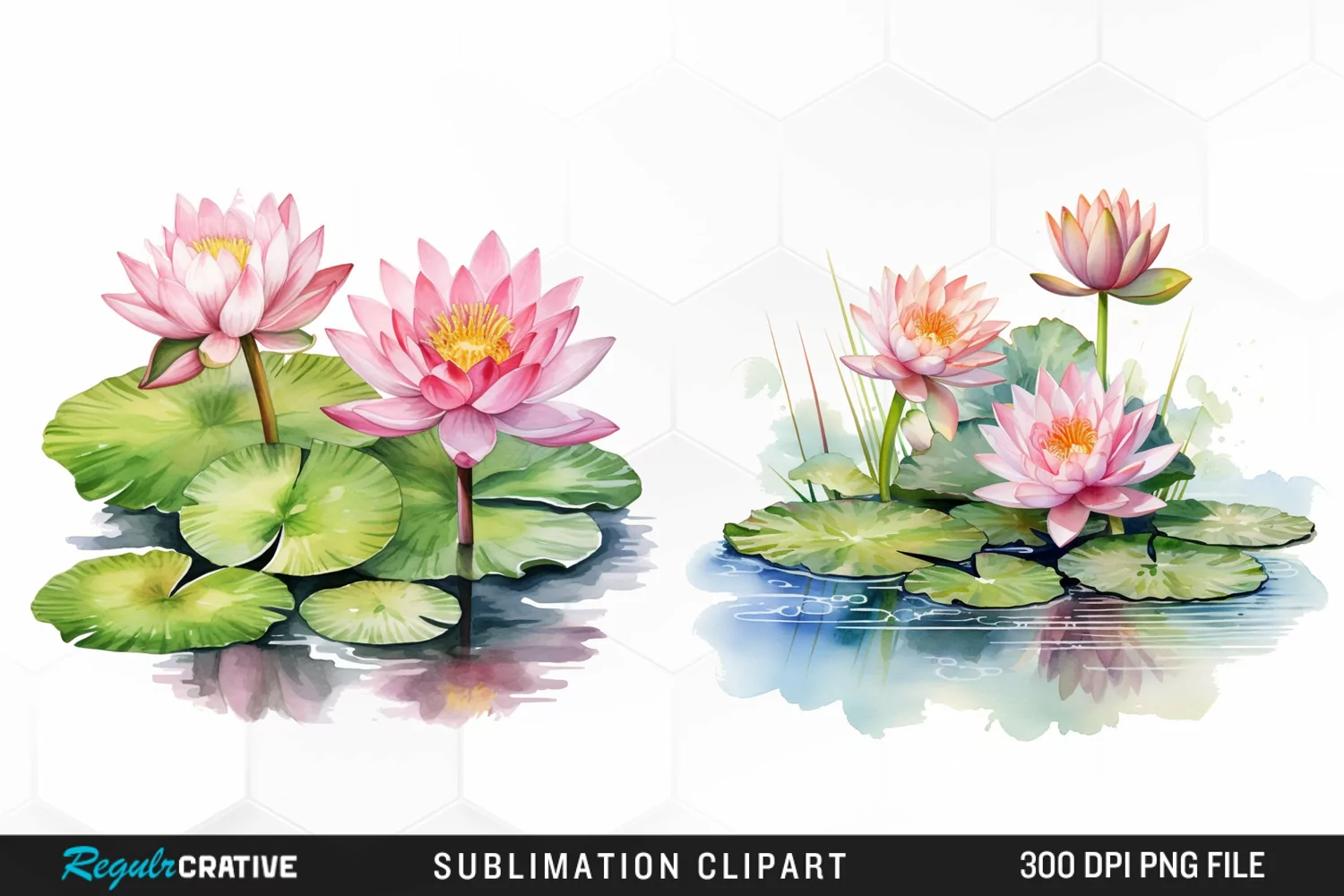 Watercolor Lily Ponds Illustration Clipart product image 1