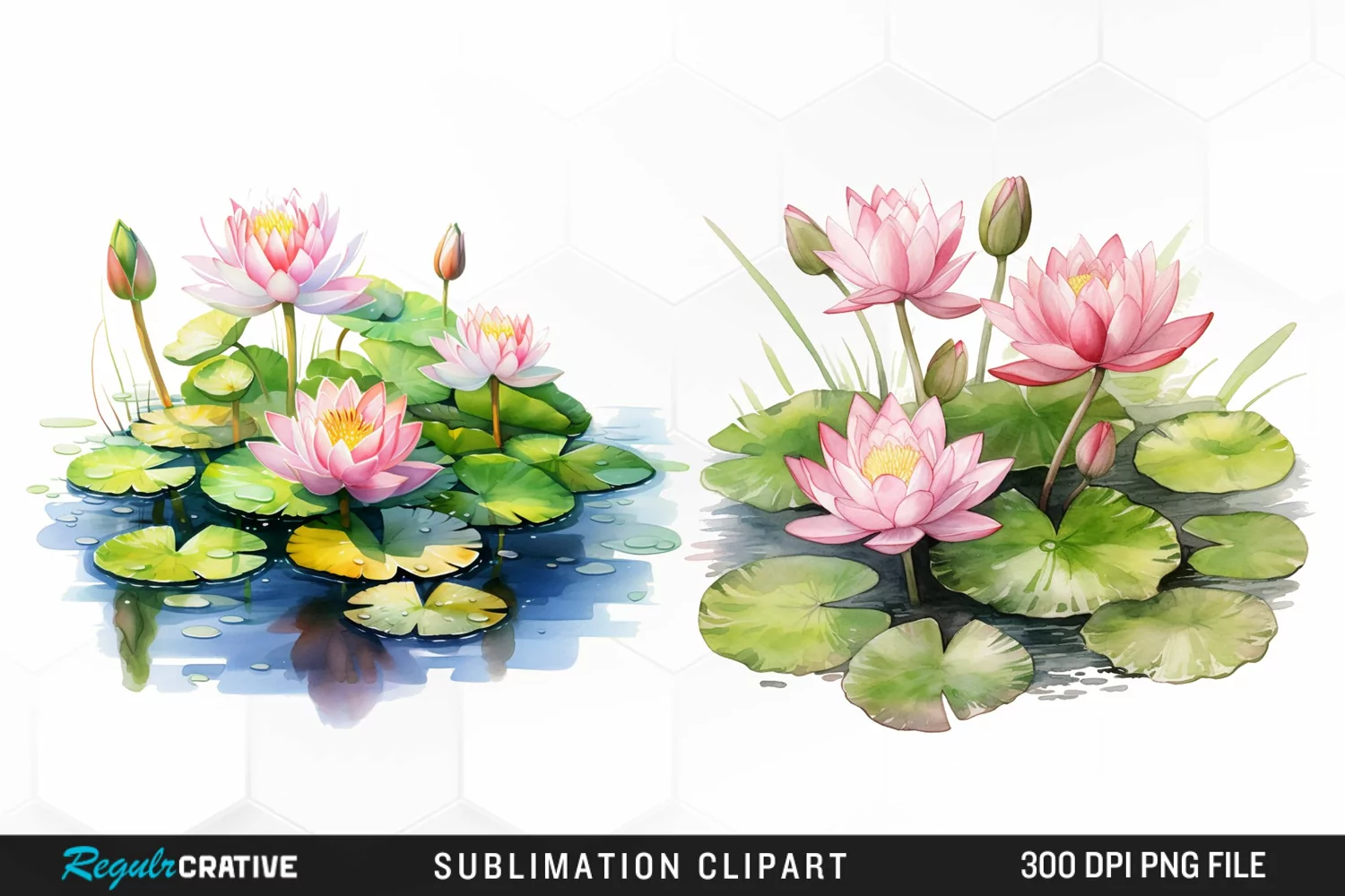 Watercolor Lily Ponds Illustration Clipart product image 1