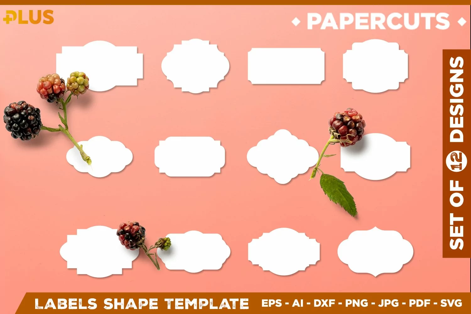 Label Shapes Template SVG | Labels Design | Label Shapes SVG product image 1