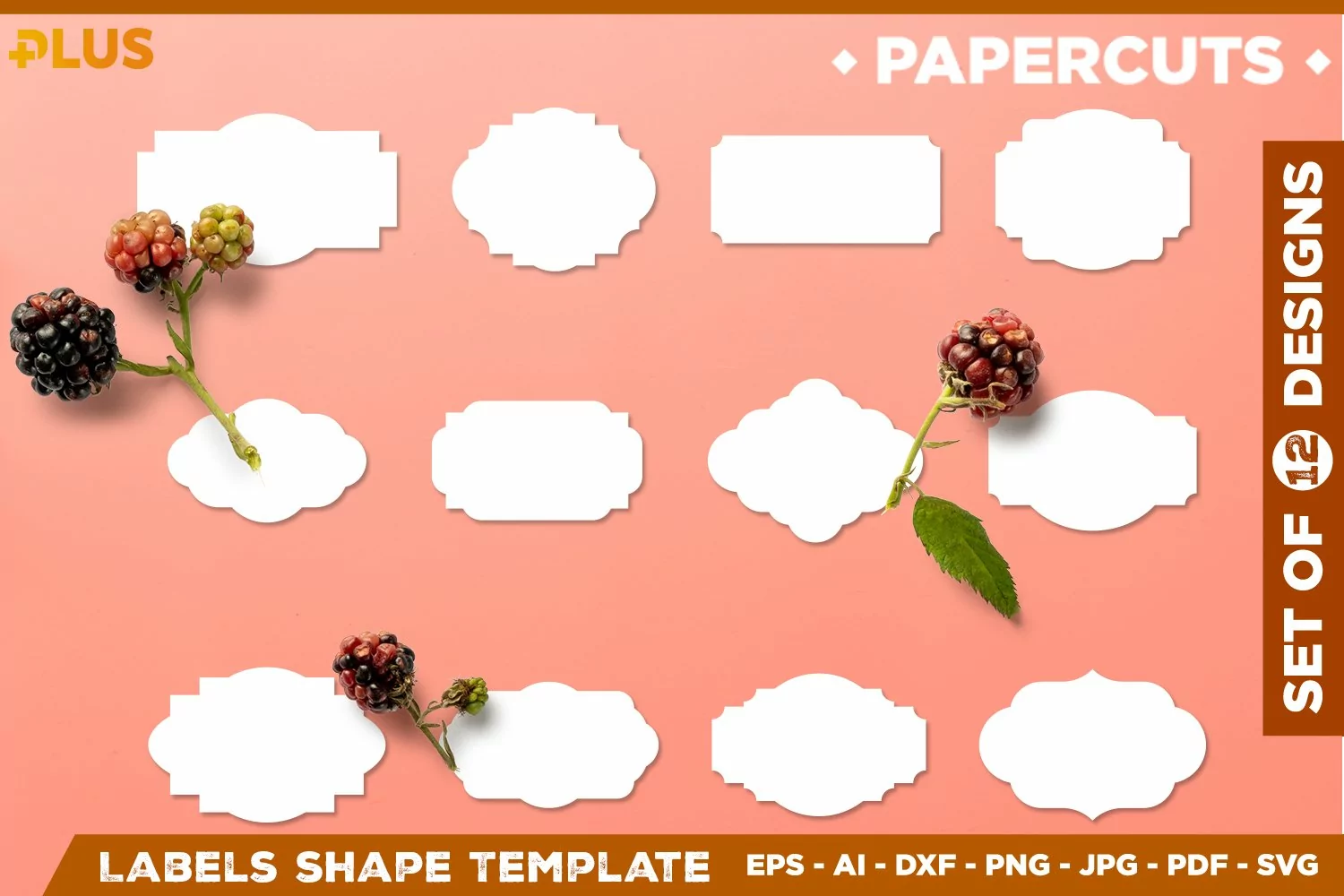 Ornate Label Shapes Collection. Label shapes SVG for kitchen product image 1