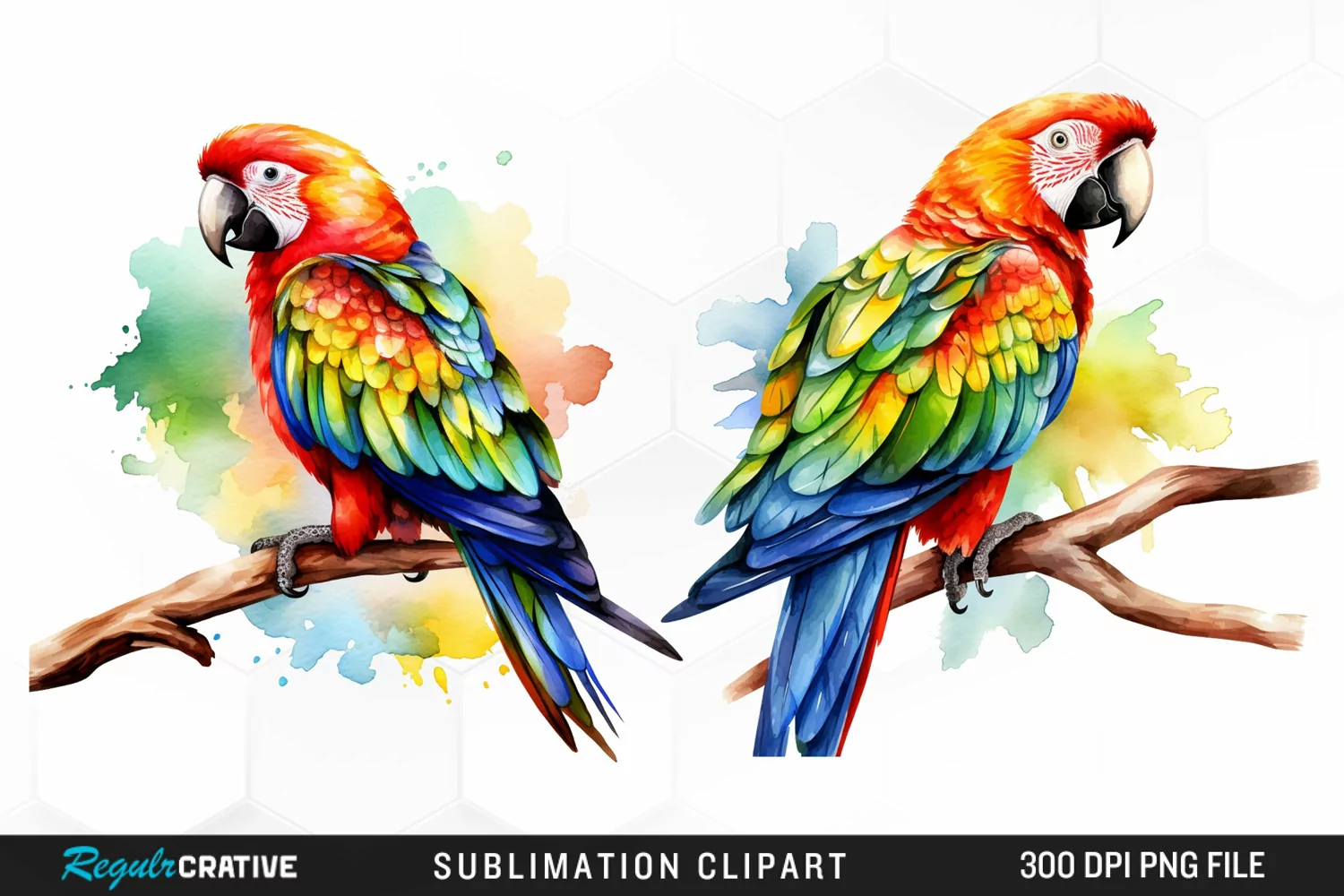 Watercolor Parrots Sublimation PNG Clipart product image 1