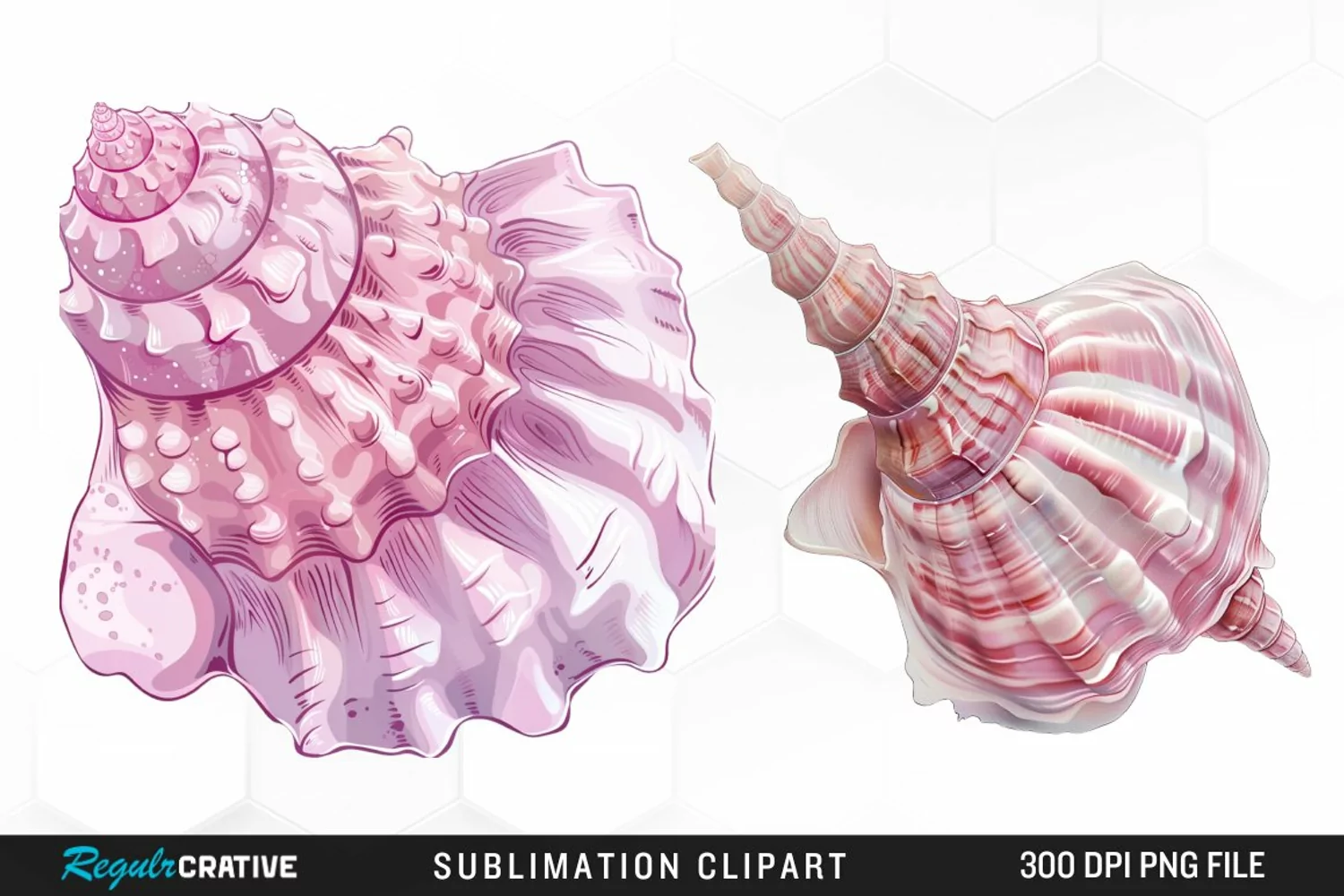 Watercolor Pink Color Seashell Clipart product image 1