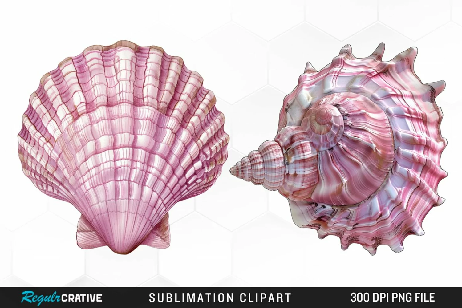 Watercolor Pink Color Seashell Clipart product image 1