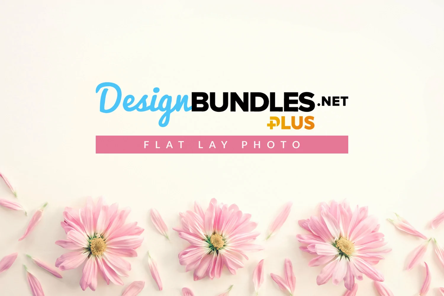 Pink Mums Vintage Style Flat Lay Photo product image 1