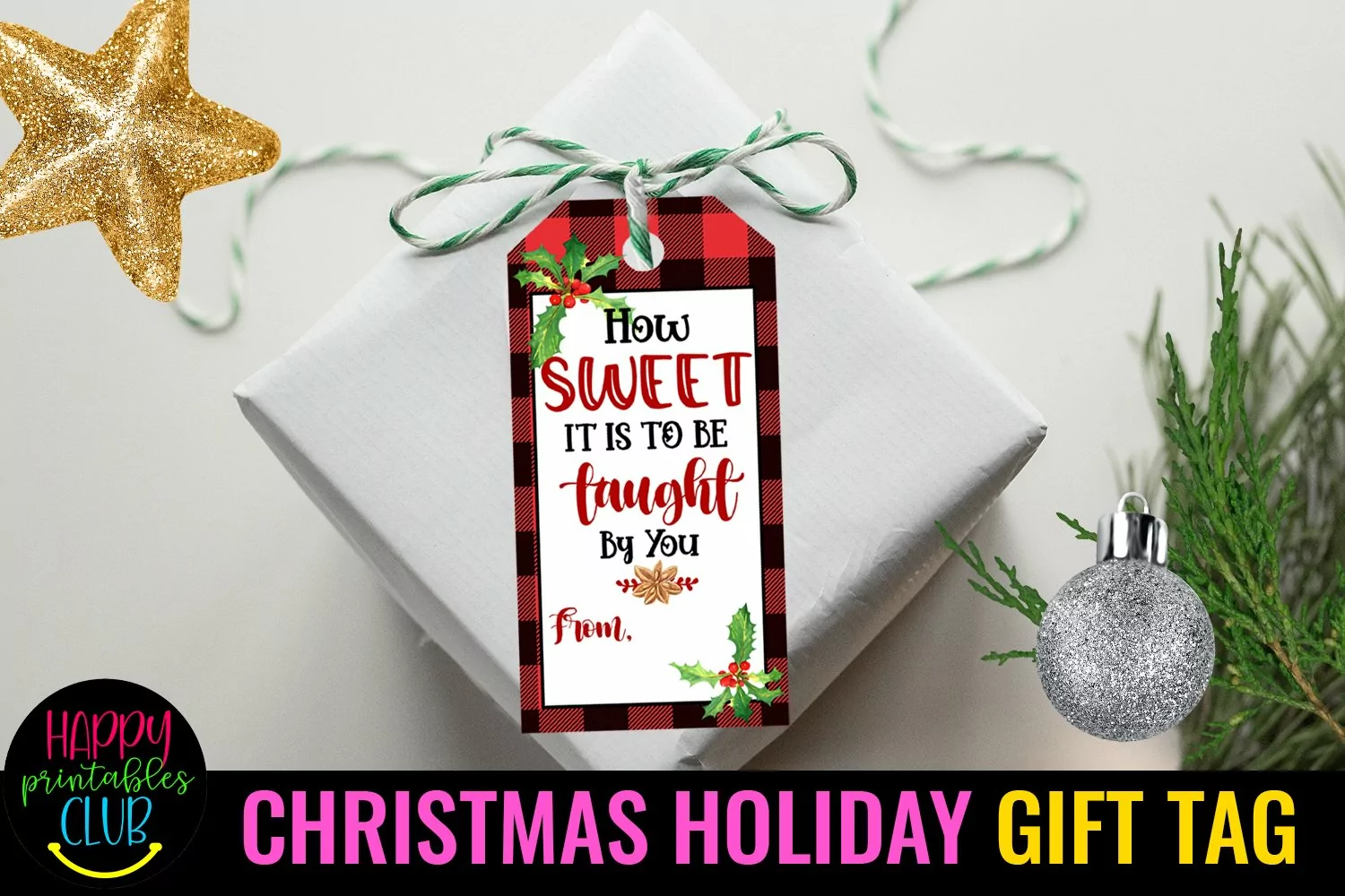 PRINTABLE CHRISTMAS HOLIDAY GIFT TAGS FOR STUDENTS AND TEACHERS