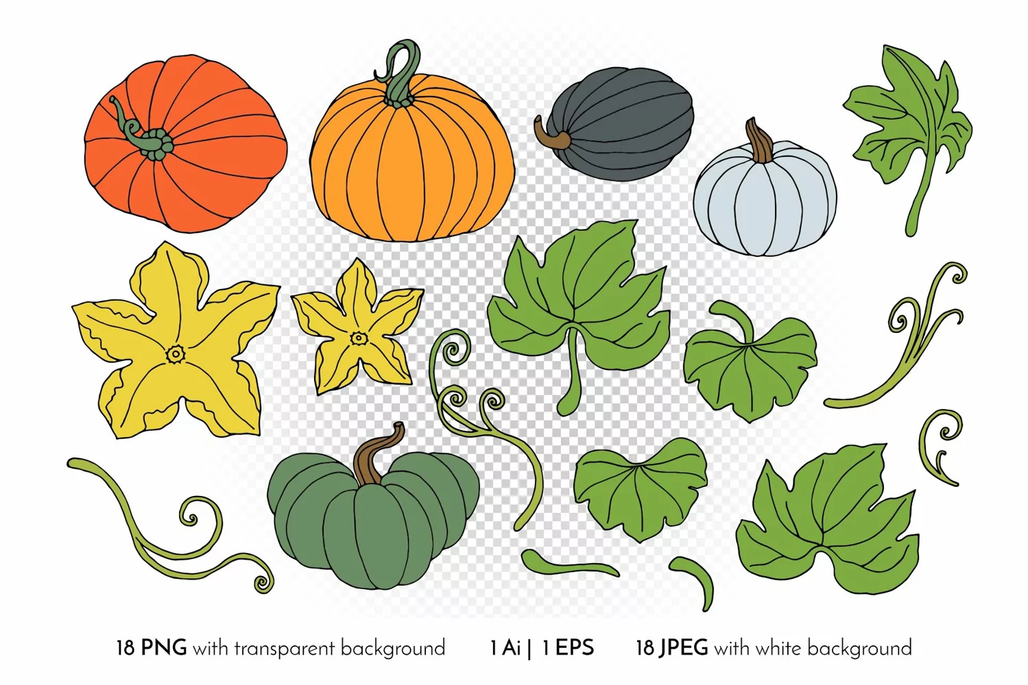 Pumpkin - Line Art and Colorful Vector Clipart and Patterns