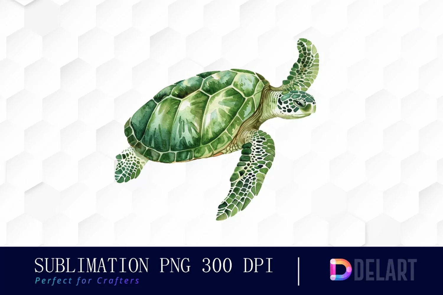 Sea Turtle PNG Clipart product image 1