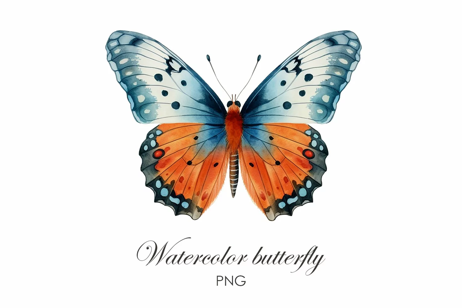 Sublimation Watercolor butterfly PNG