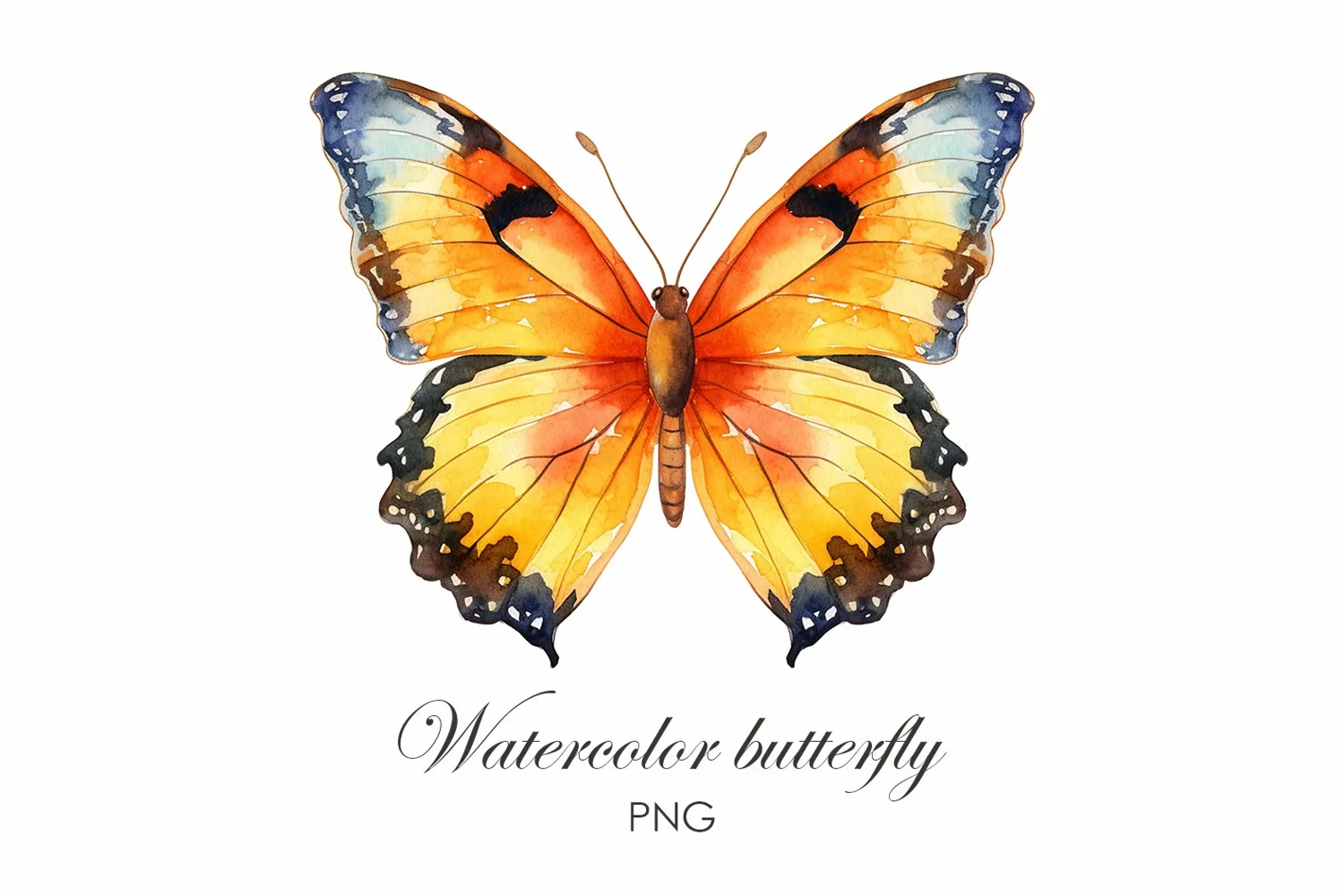 Sublimation Watercolor butterfly PNG