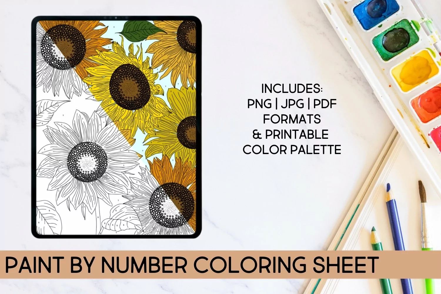 Paint by Number Sunflower Coloring Sheet product image 1