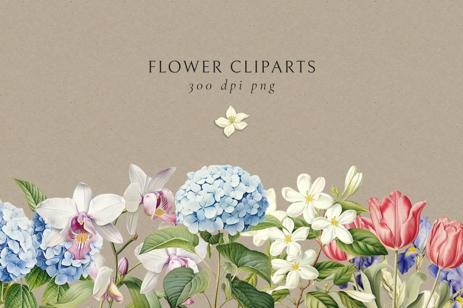 Vintage Charm Flowers Clip Art Hand-Drawn Botanical Prints product image 1