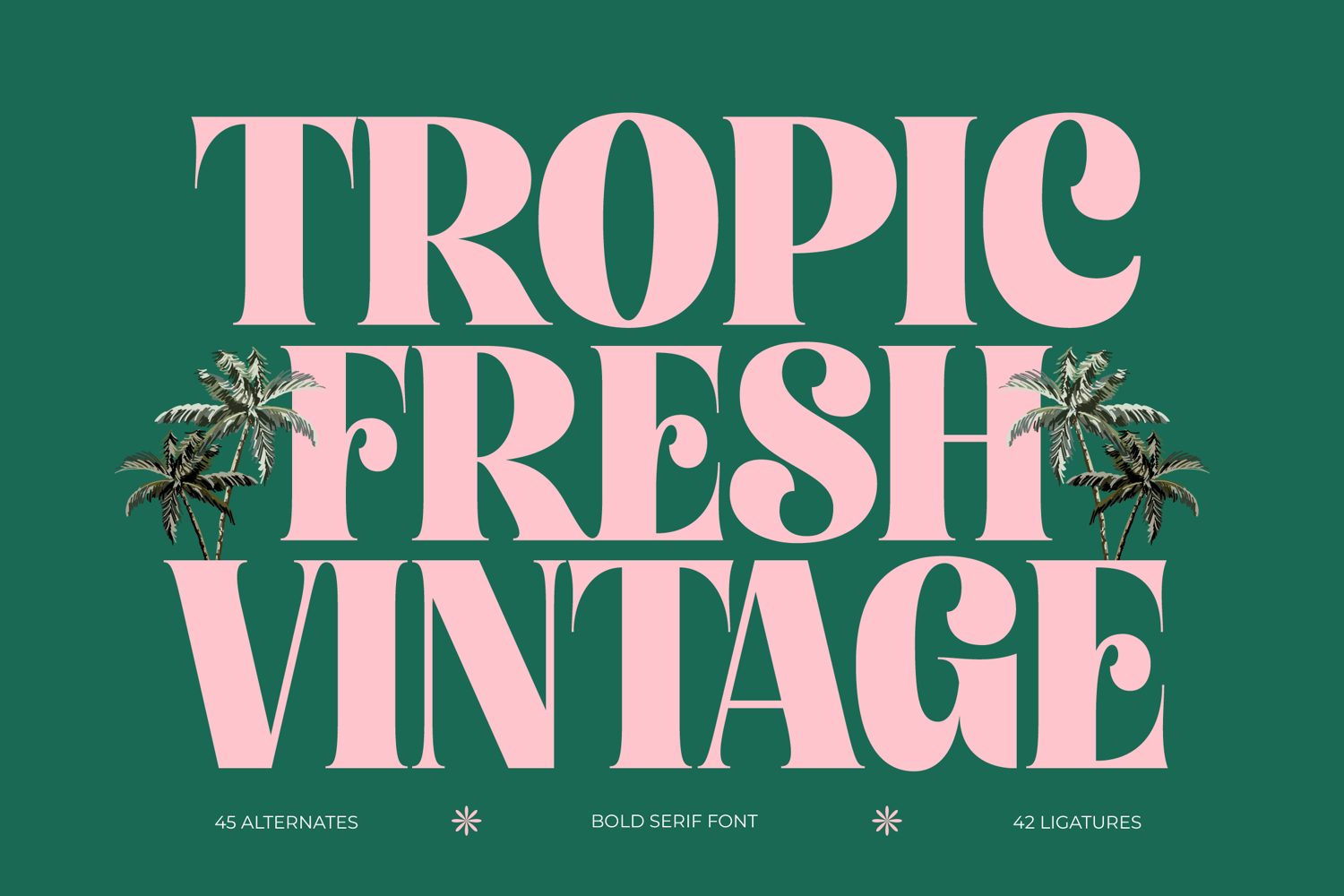 Tropic Fresh Vintage - Bold Serif Font product image 1