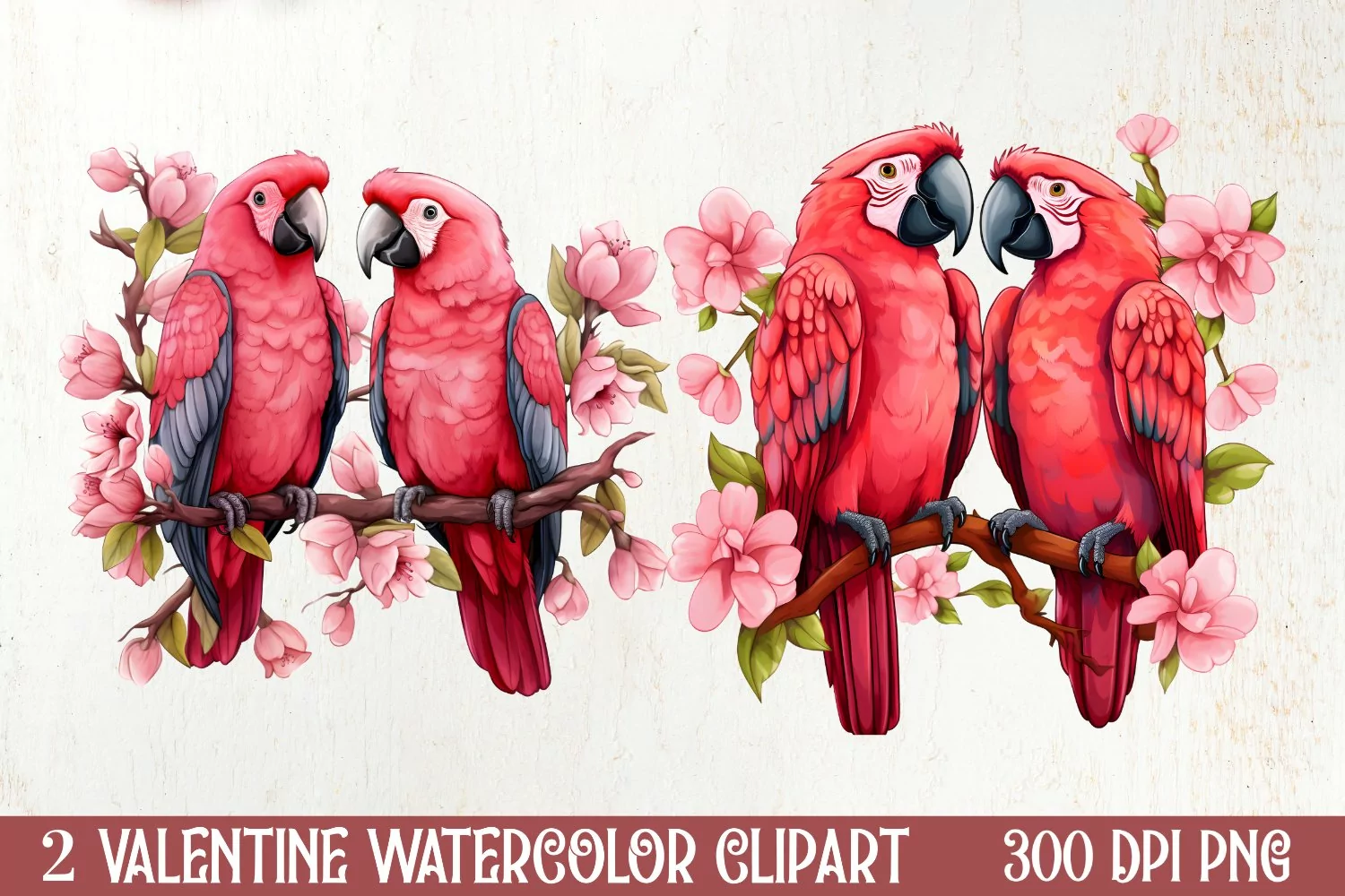 Valentines Day Parrot Couple Clipart, Valentines PNG product image 1