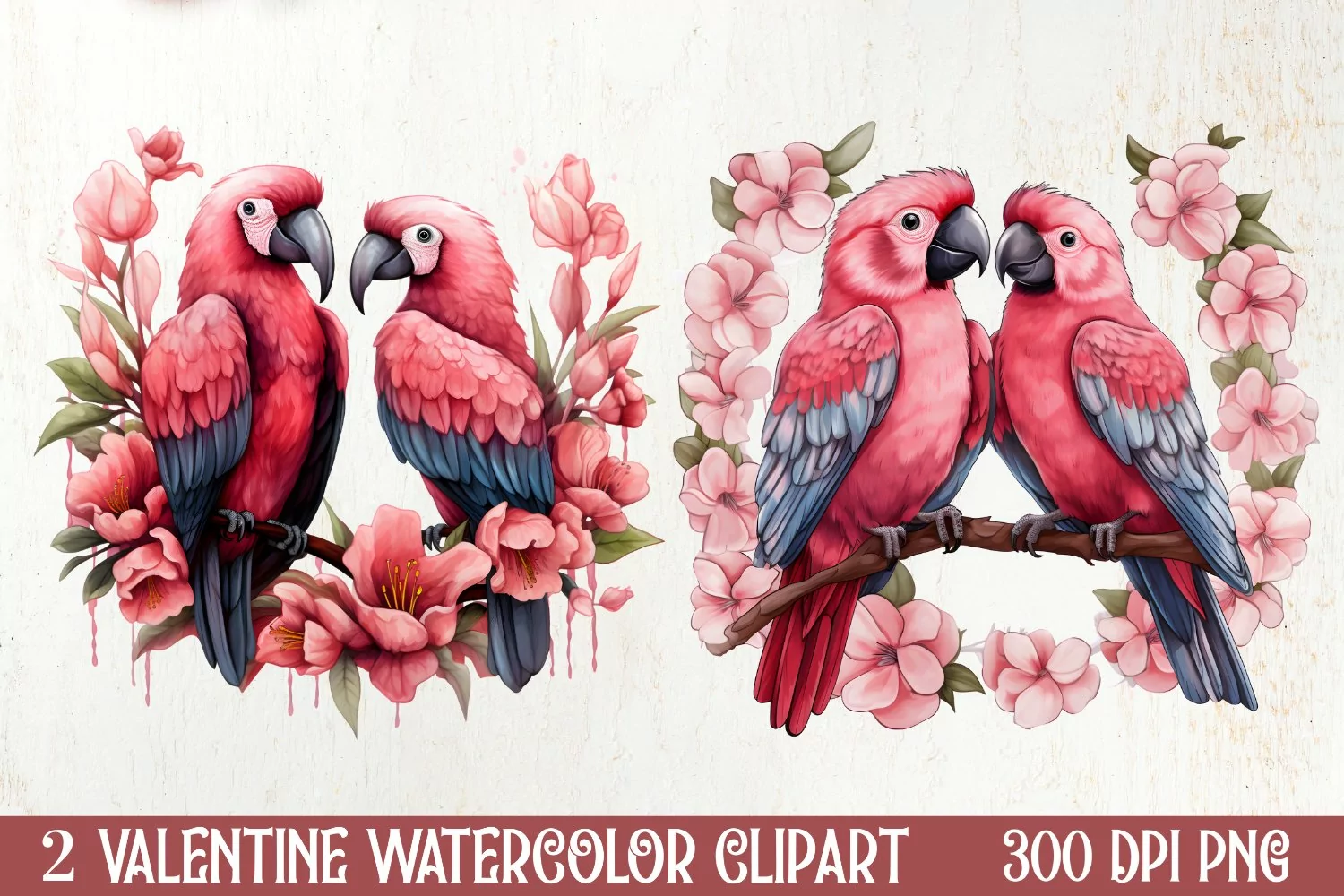 Valentines Day Parrot Couple Clipart, Valentines PNG product image 1