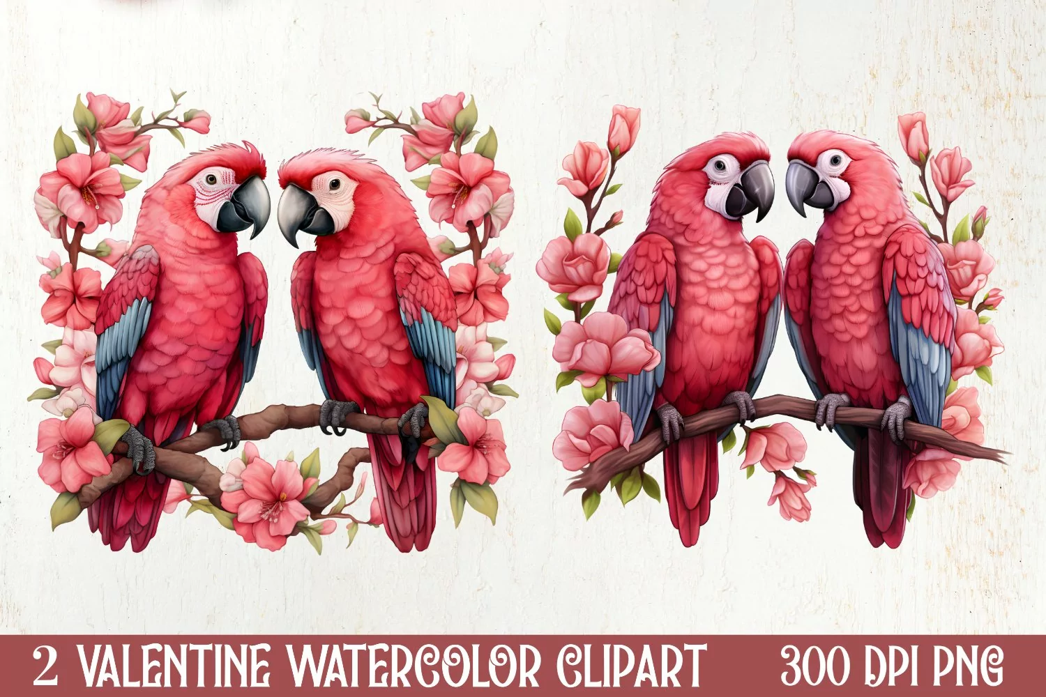 Valentines Day Parrot Couple Clipart, Valentines PNG product image 1