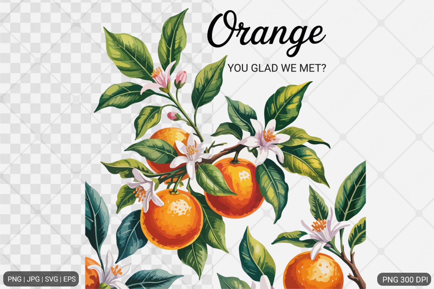 Vintage Fruit Sublimation SVG PNG product image 1
