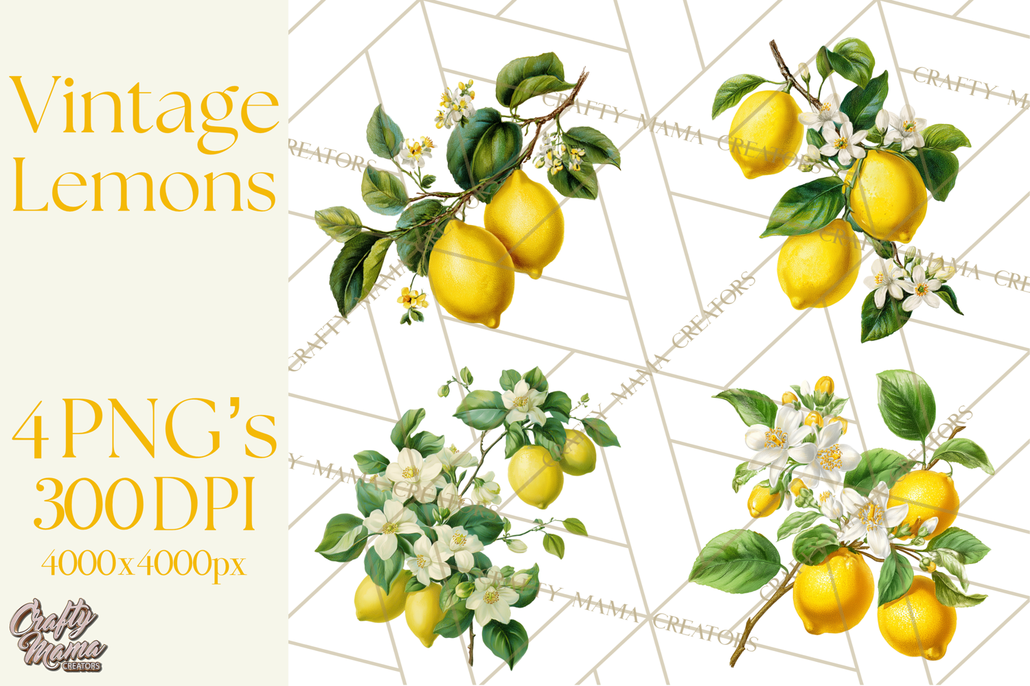 Vintage Lemon Botanical PNG Clipart, Citrus Fruit product image 1