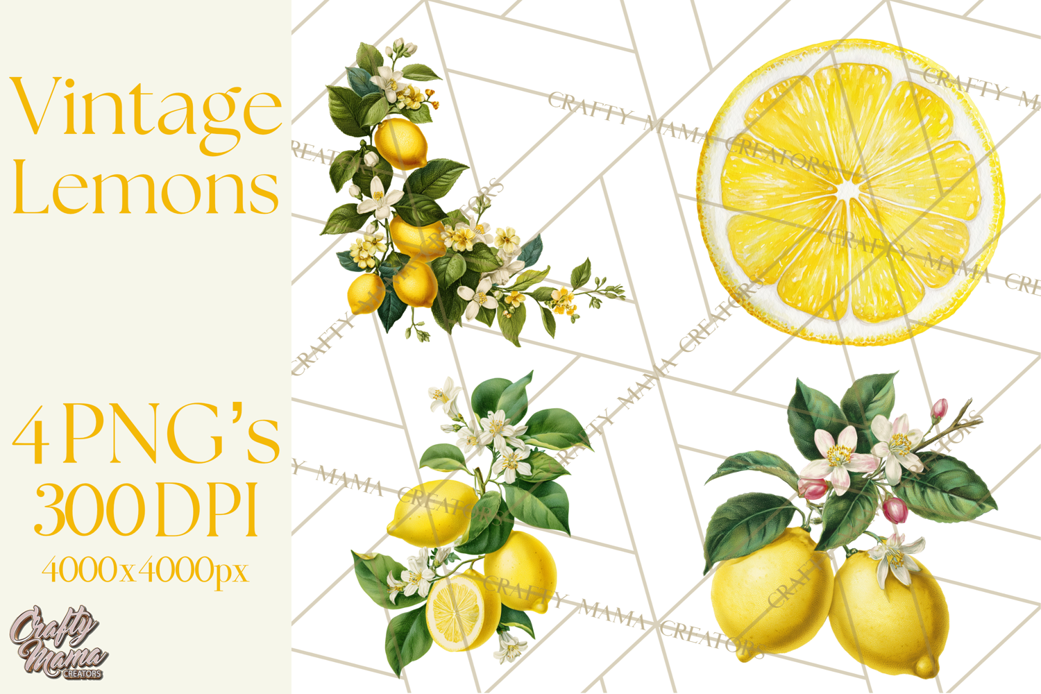 Vintage Lemon Botanical PNG Clipart, Citrus Fruit product image 1