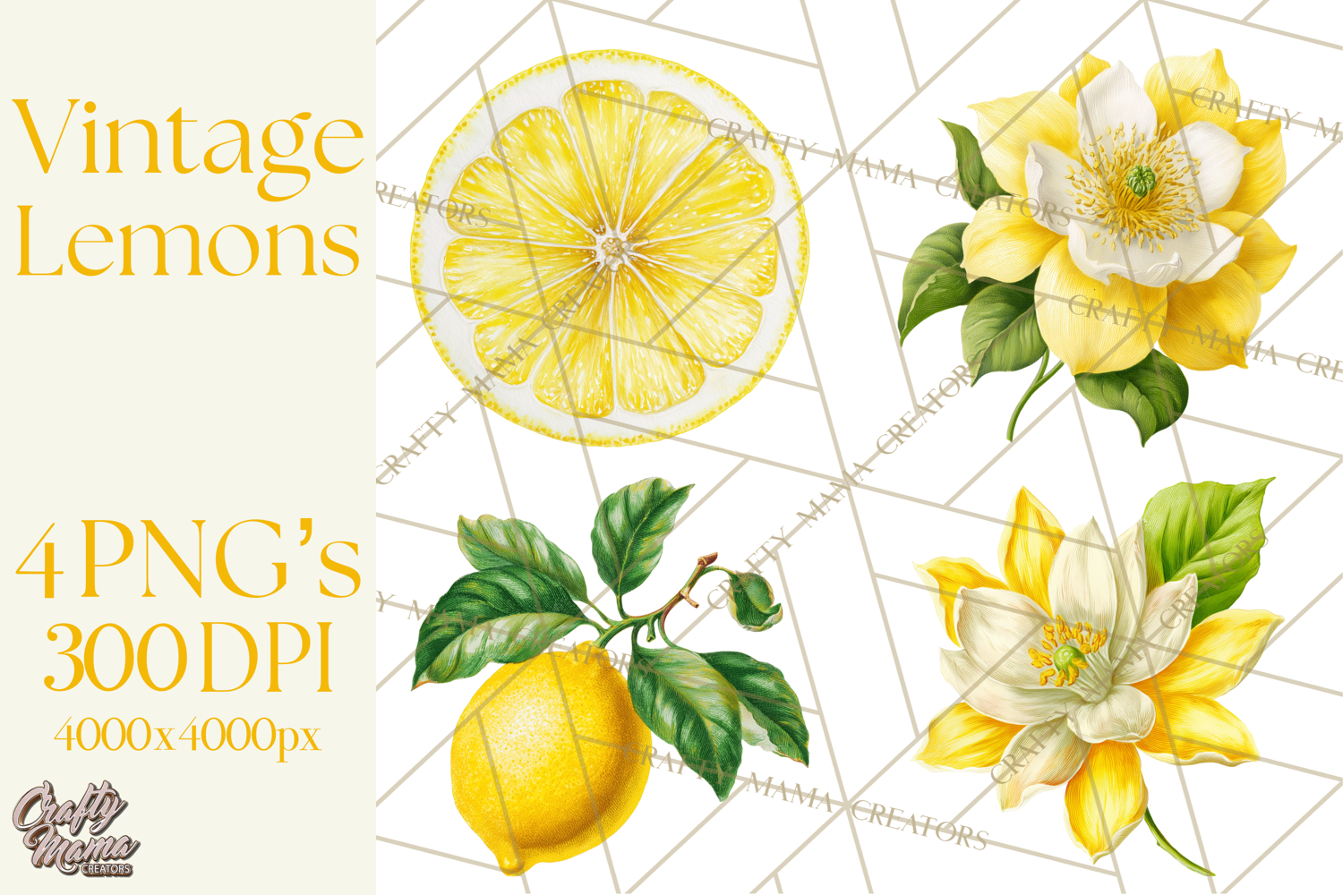 Vintage Lemon Botanical PNG Clipart, Citrus Fruit product image 1