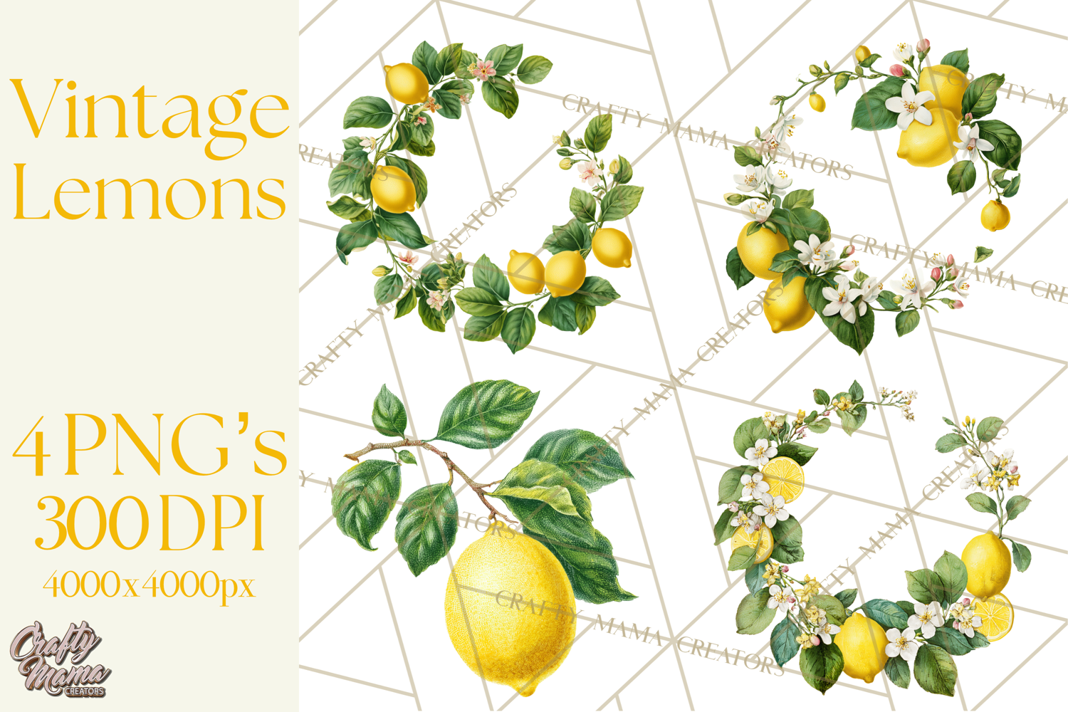 Vintage Lemon Botanical PNG Clipart, Citrus Fruit product image 1
