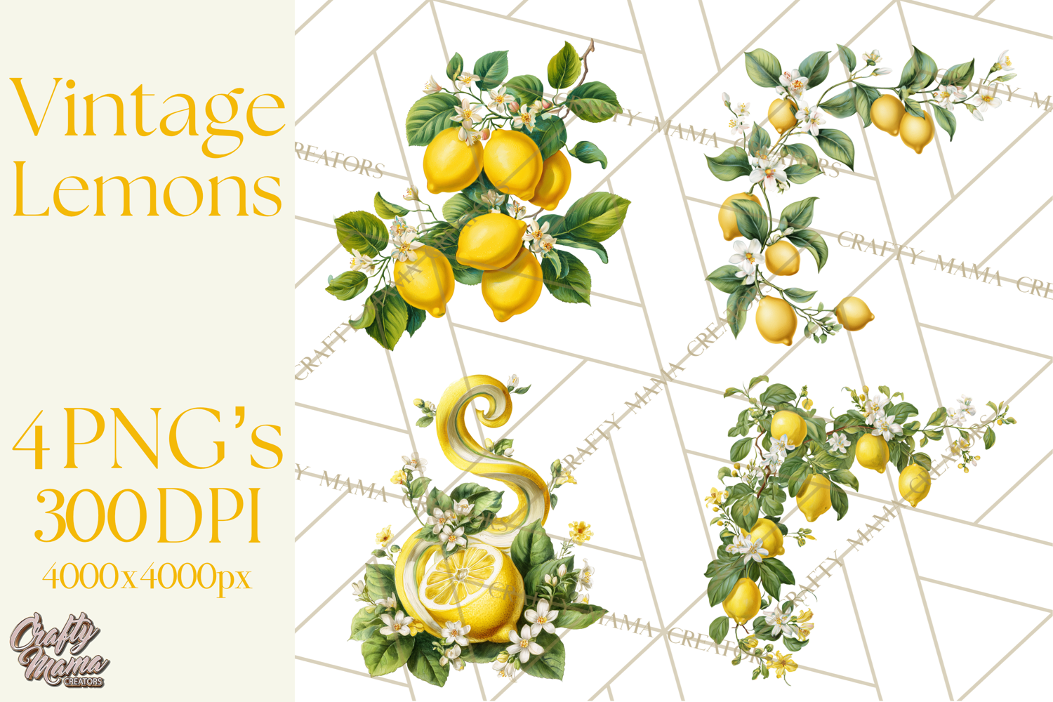 Vintage Lemon Botanical PNG Clipart, Citrus Fruit product image 1