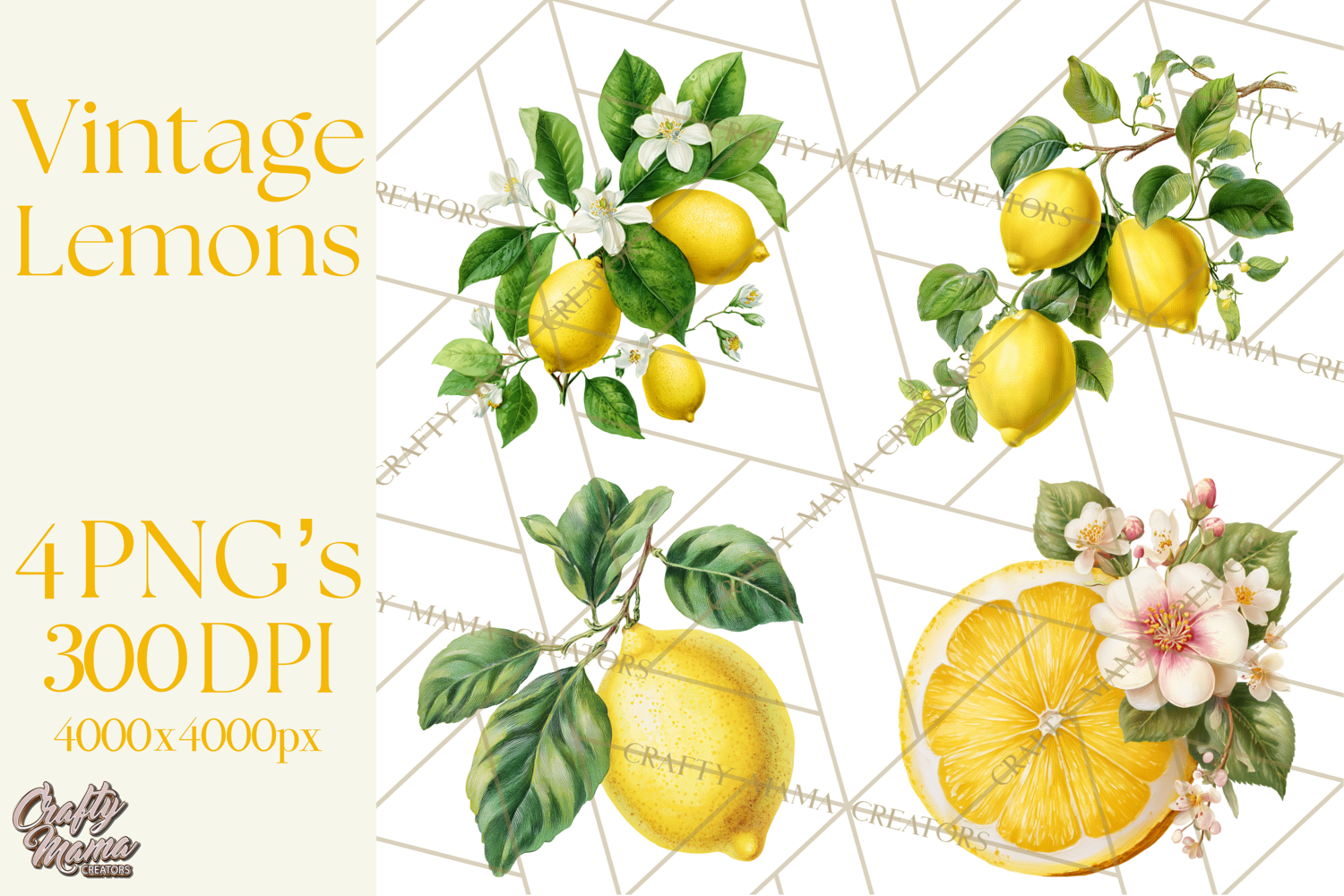 Vintage Lemon Botanical PNG Clipart, Citrus Fruit product image 1