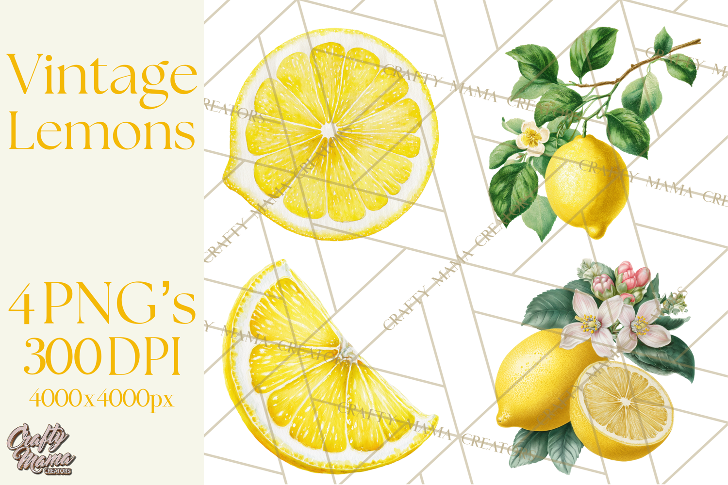 Vintage Lemon Botanical PNG Clipart, Citrus Fruit product image 1