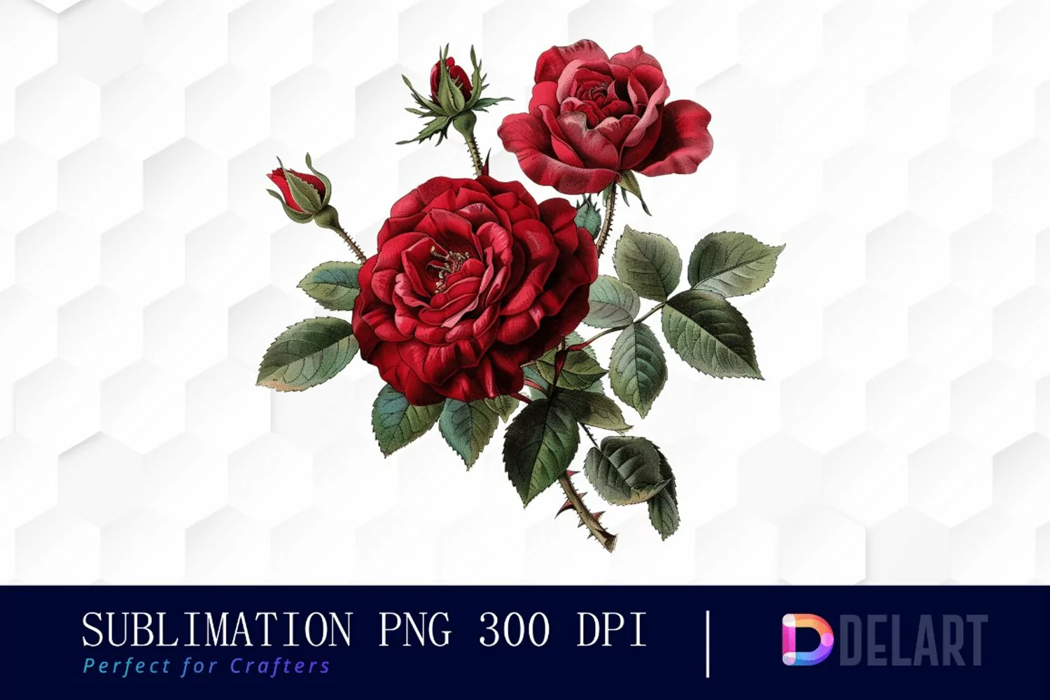 Vintage Painted Red Roses Watercolor Clipart product image 1