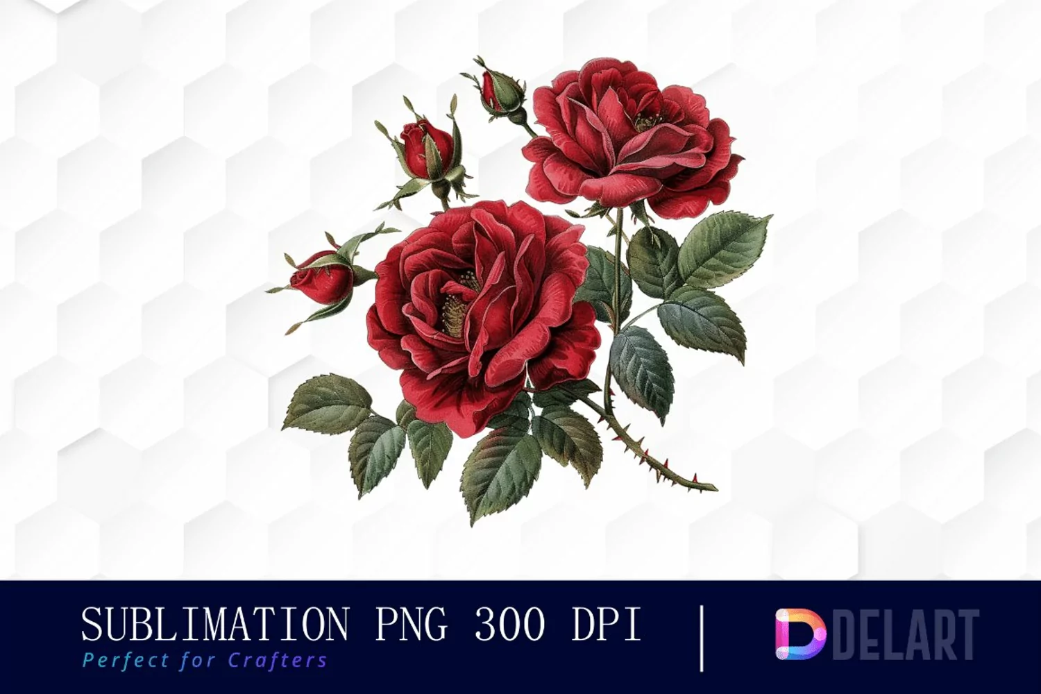 Vintage Painted Red Roses Watercolor Clipart product image 1