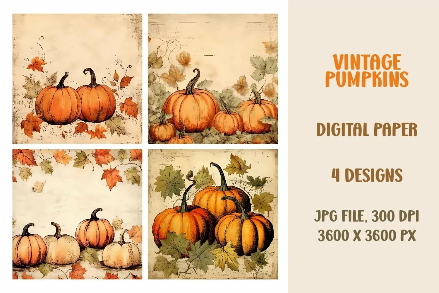 Fall Vintage Pumpkins, Digital Paper, Scrapbook Paper product image 1