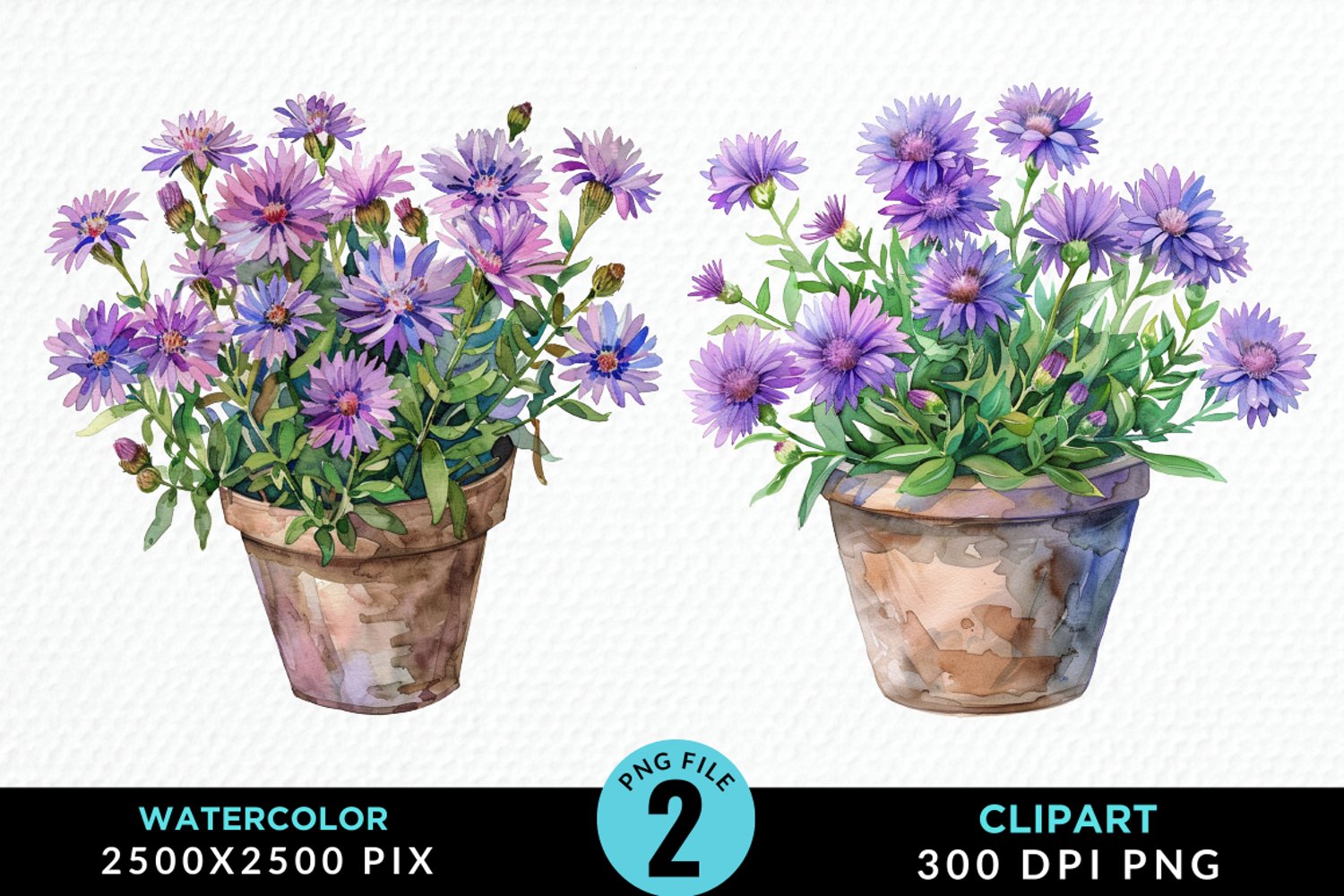 Watercolor Asters Pot Graphics Clipart product image 1