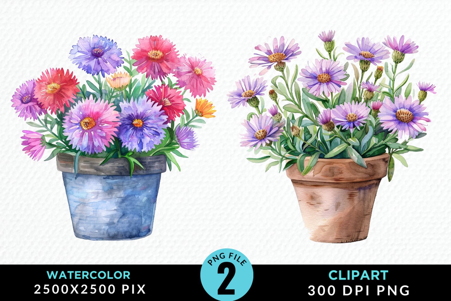 Watercolor Asters Pot Graphics Clipart product image 1